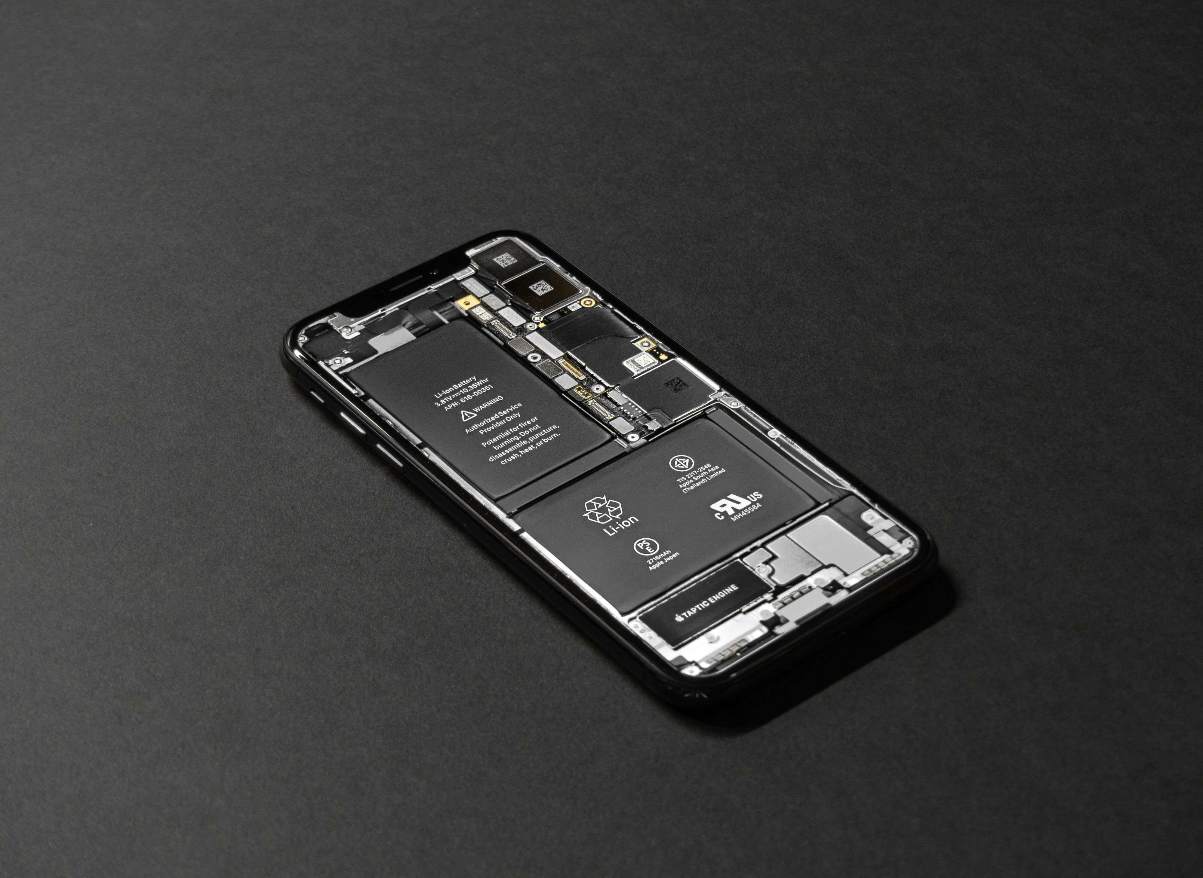 Teardown image of an apple product.