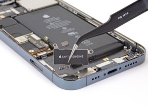 Teardown image of an apple product.