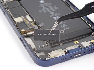 Teardown image of an apple product.