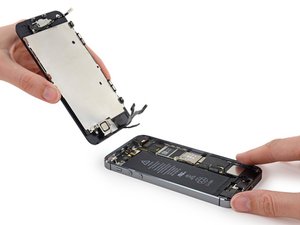 Teardown image of an apple product.