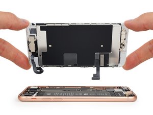 Teardown image of an apple product.