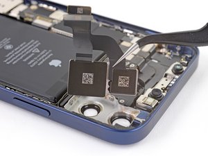 Teardown image of an apple product.