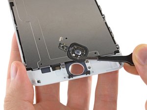 Teardown image of an apple product.