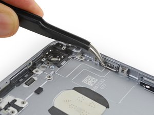 Teardown image of an apple product.