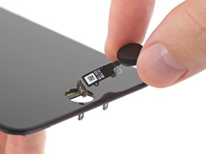 Teardown image of an apple product.