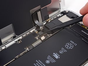 Teardown image of an apple product.