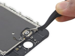 Teardown image of an apple product.