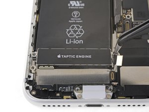 Teardown image of an apple product.