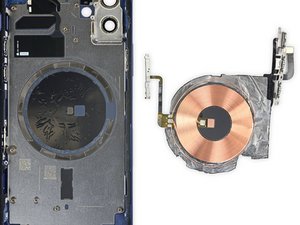 Teardown image of an apple product.