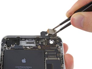 Teardown image of an apple product.