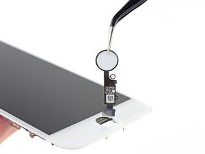 Teardown image of an apple product.