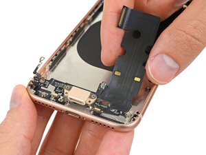 Teardown image of an apple product.